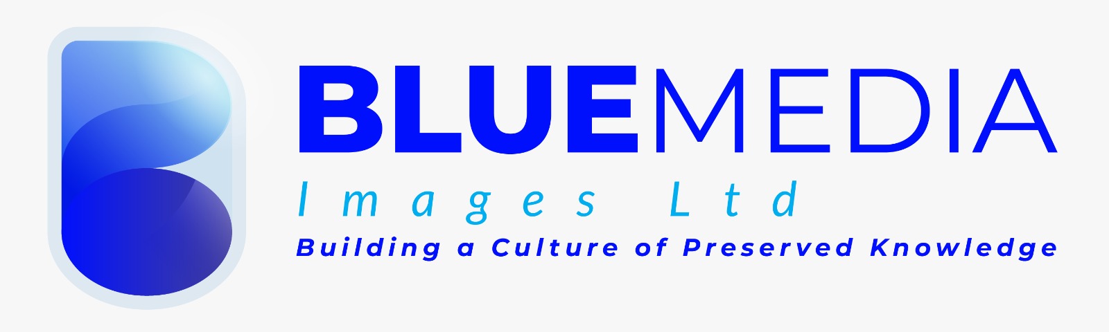 BlueMedia Logo